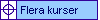 Flera kurser